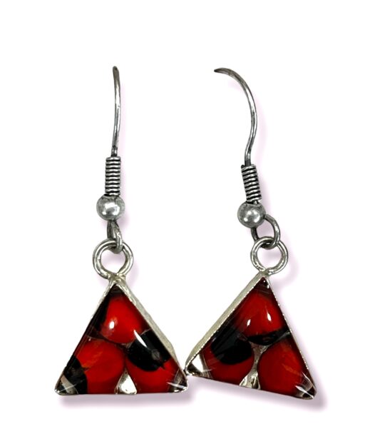 Boucle d'oreilles - Graine de Huayruro