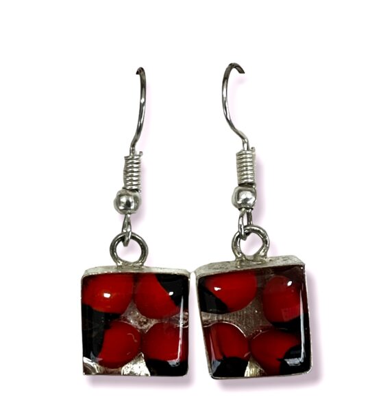 Boucle d'oreilles - Graine de Huayruro
