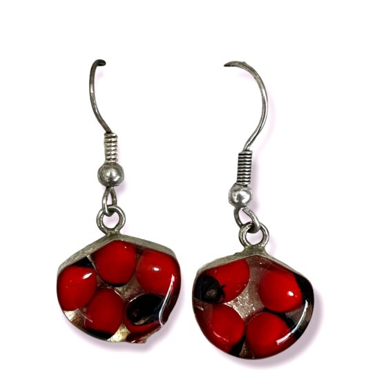 Boucle d'oreilles - Graine de Huayruro